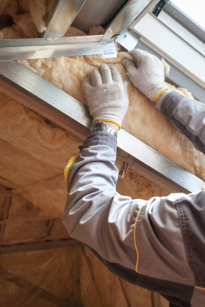 Best Insulation for New Construction  in Maumelle, AR