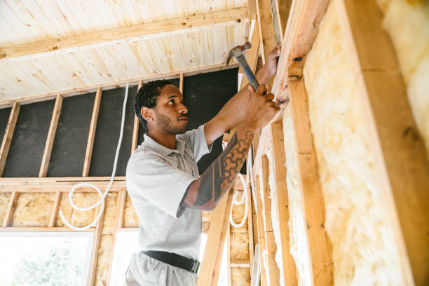 Best Blown-In Insulation  in Maumelle, AR